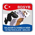 Balıkedir DSYB