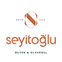 Seyitoglu