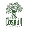 Coşkun Zeytincilik